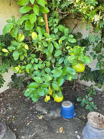 a view of a backyard both side of the house