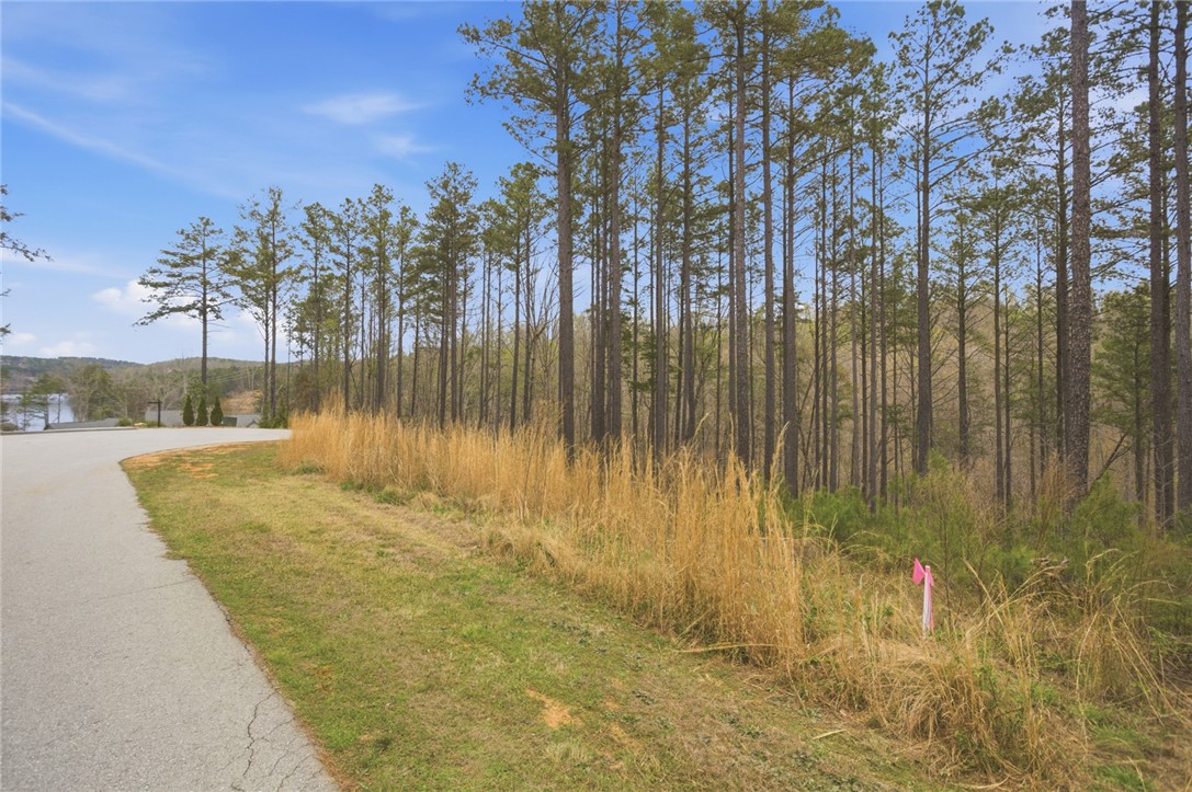 154 Bailey Street Six Mile, SC 29682 - Photo 1 of 22 This tranquil lot offers a serene setting amidst towering trees with distant water and mountain views.