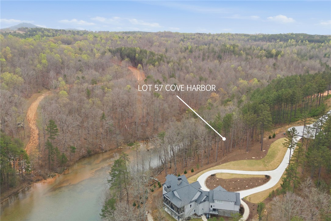 154 Bailey Street Six Mile, SC 29682 - Photo 15 of 22 An aerial perspective reveals a serene waterfront property nestled within a wooded landscape.
