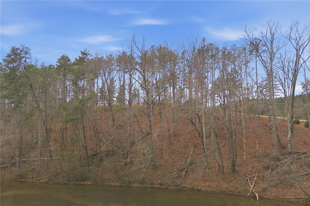 154 Bailey Street Six Mile, SC 29682 - Photo 16 of 22 This tranquil waterfront property offers serene views of lush woodlands and a natural landscape.