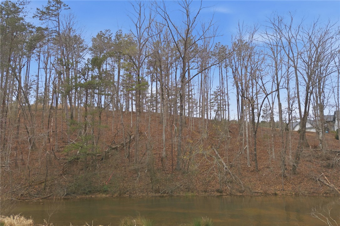 154 Bailey Street Six Mile, SC 29682 - Photo 19 of 22 This tranquil waterfront lot features a wooded hillside and glimpses of a charming dwelling.