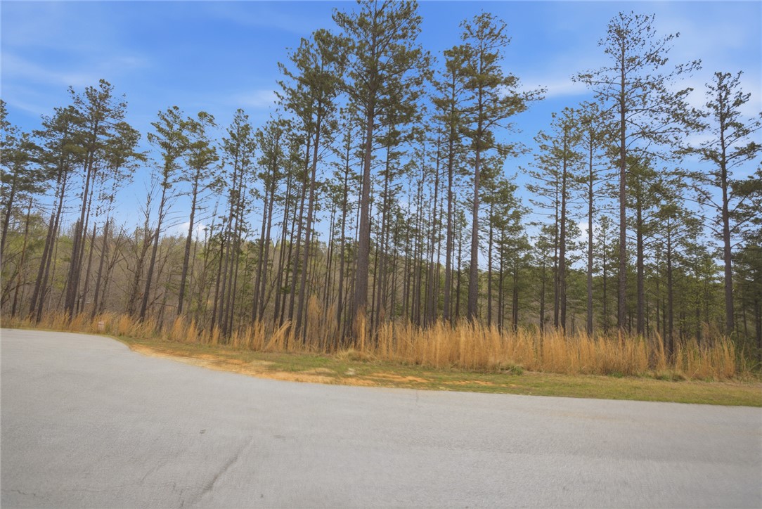 154 Bailey Street Six Mile, SC 29682 - Photo 2 of 22 This expansive lot offers a tranquil setting amidst a lush forest, perfect for building your dream home.