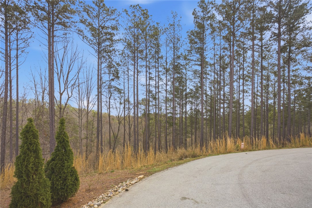 154 Bailey Street Six Mile, SC 29682 - Photo 3 of 22 A tranquil setting awaits with towering trees alongside a paved road, offering serene views.