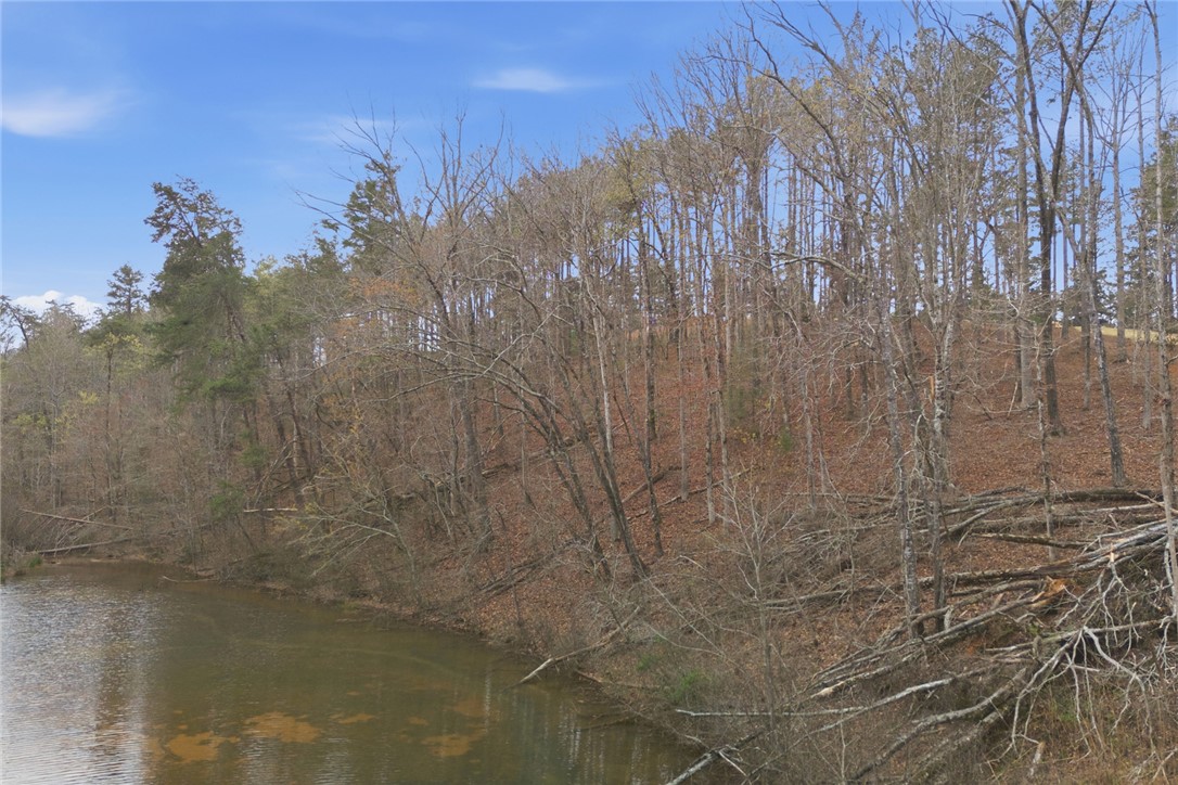 154 Bailey Street Six Mile, SC 29682 - Photo 5 of 22 This tranquil waterfront property offers serene views of the surrounding natural landscape.
