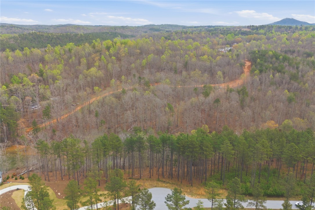 154 Bailey Street Six Mile, SC 29682 - Photo 7 of 22 This scenic lot offers natural beauty, a tranquil lake, and a winding road through verdant hills.