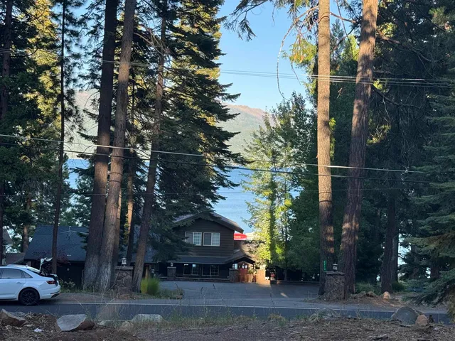 a street view with large trees