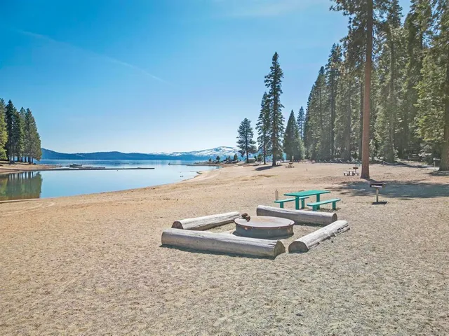 a view of a lake with a yard and palm trees