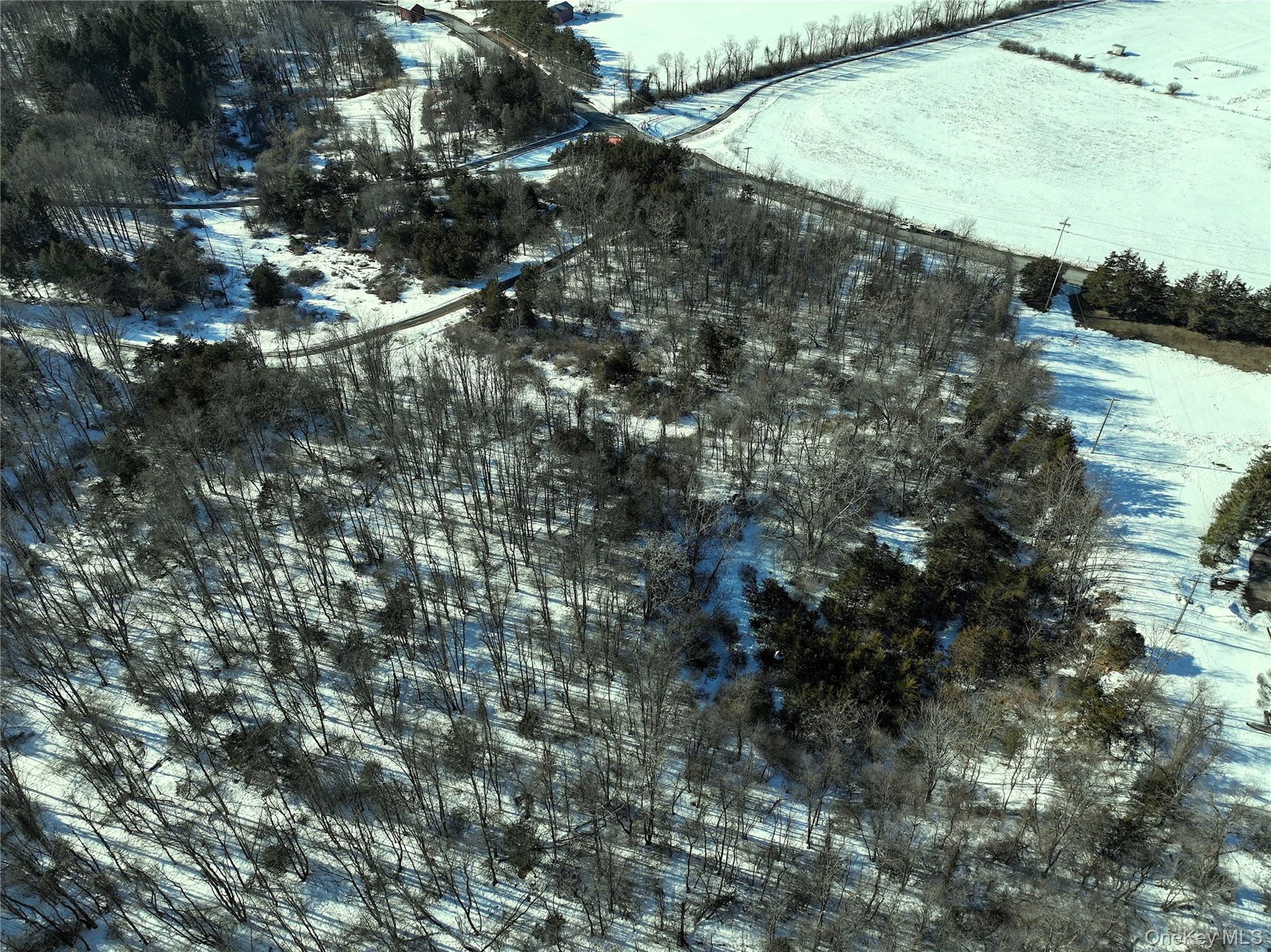 Bells Pond Road Hudson, NY 12541 - Photo 3 of 13 a picture of mountains with green space