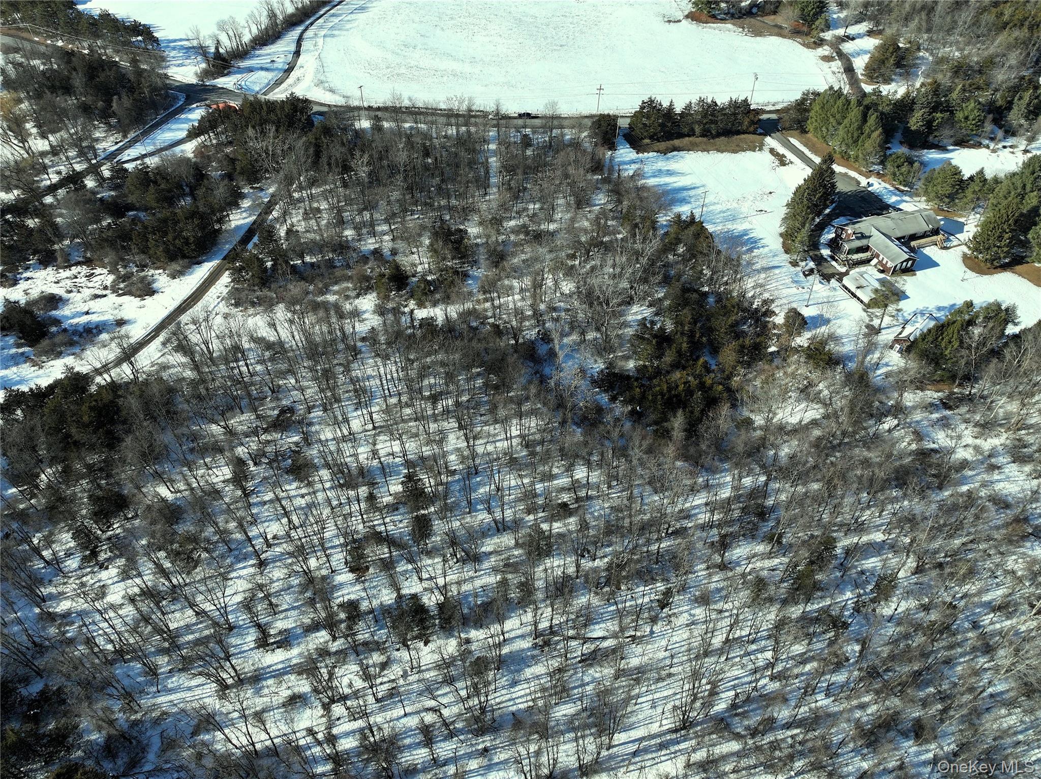 Bells Pond Road Hudson, NY 12541 - Photo 5 of 13 a view of lake with a yard