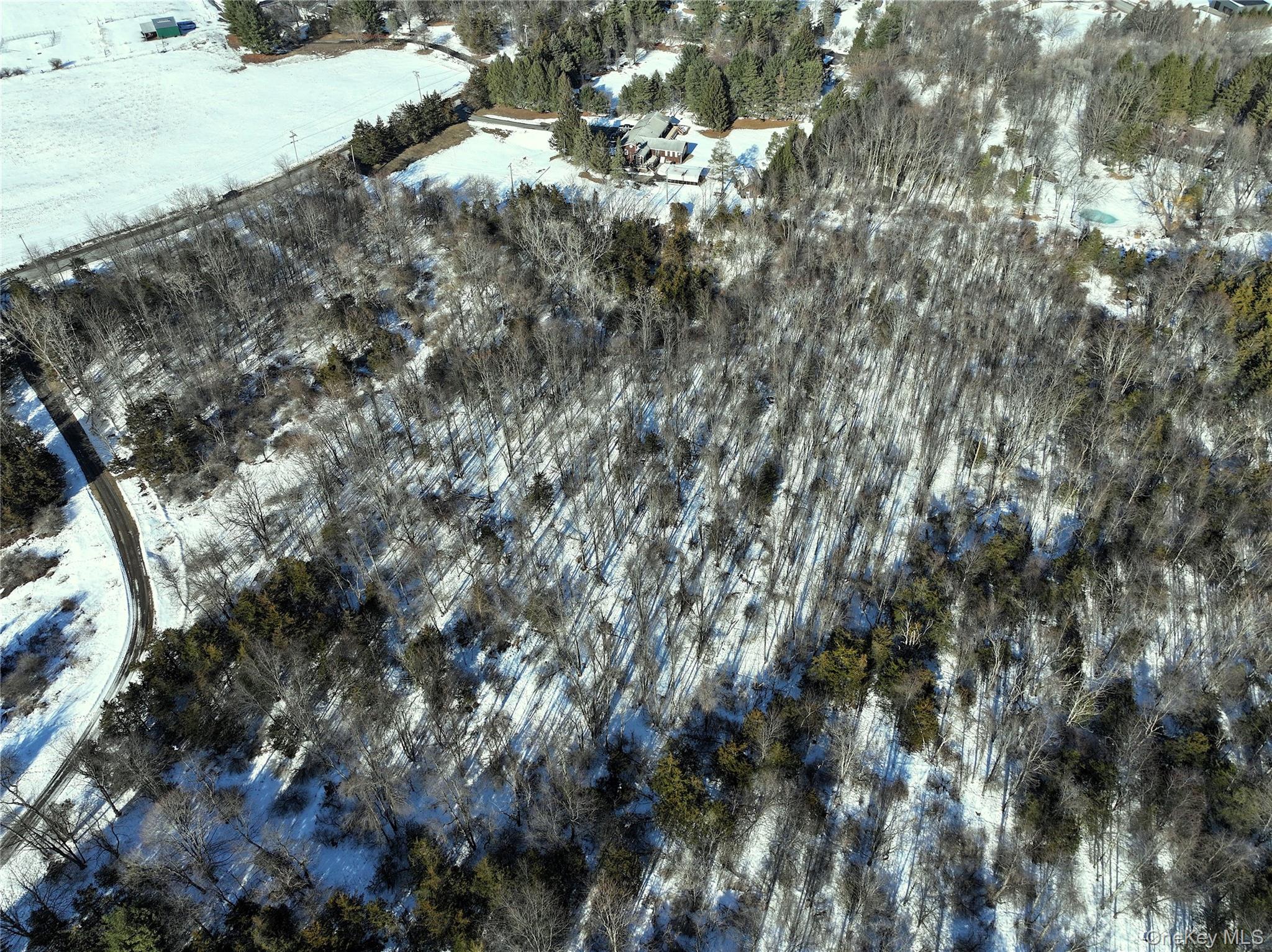 Bells Pond Road Hudson, NY 12541 - Photo 6 of 13 a view of a forest with a tree