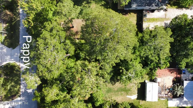 a view of a garden with plants