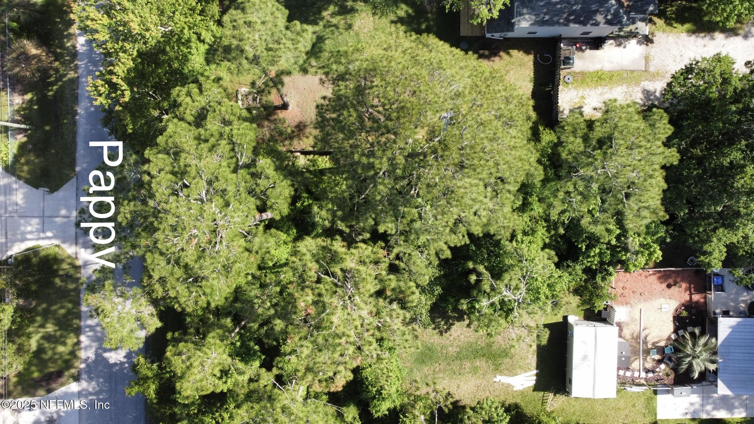 1319 Pappy Street St. Augustine, FL 32084 - Photo 2 of 5 a view of a garden with plants