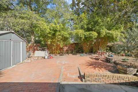 a picture of a yard with a tree