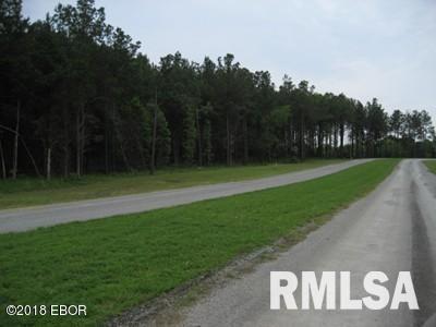 Lot 358 Parrish Ridge Lane Goreville, IL 62939 - Photo 2 of 9