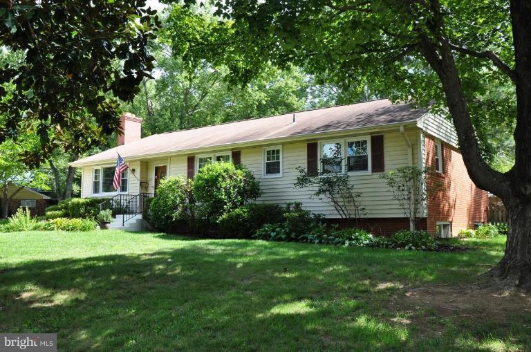 a view of a house with a yard plants and large tree