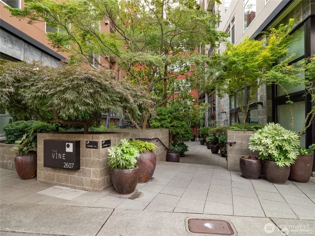 a view of a garden with plants