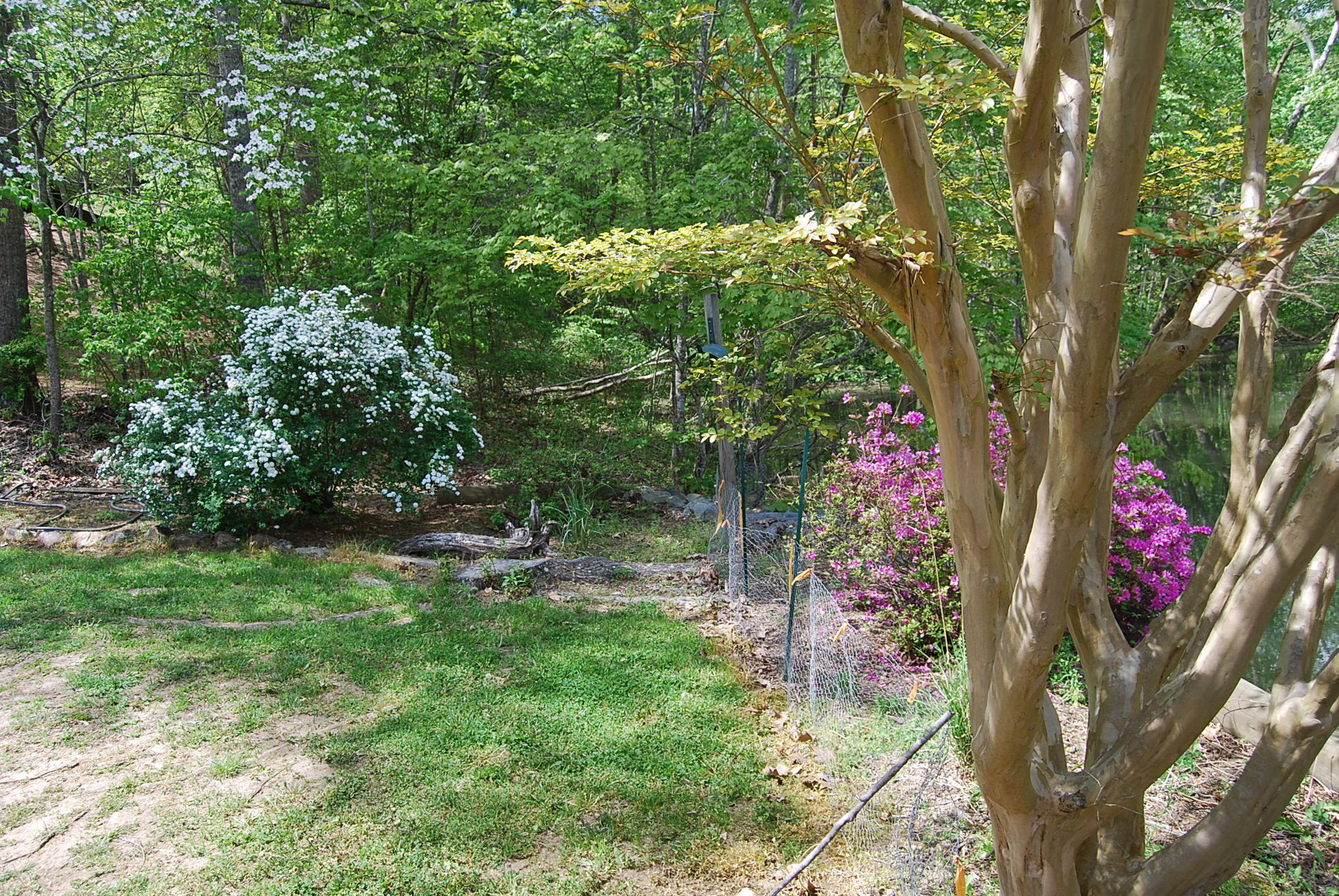 104 Woodbrook Road Moneta, VA 24121 - Photo 106 of 108 krupp outside 015