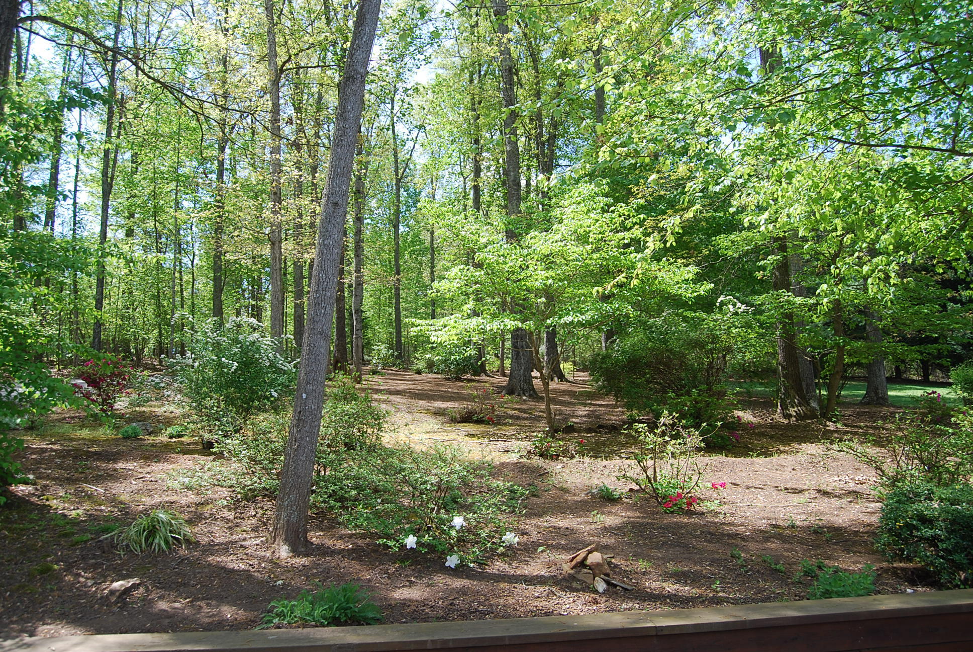 104 Woodbrook Road Moneta, VA 24121 - Photo 12 of 108 krupp outside 007
