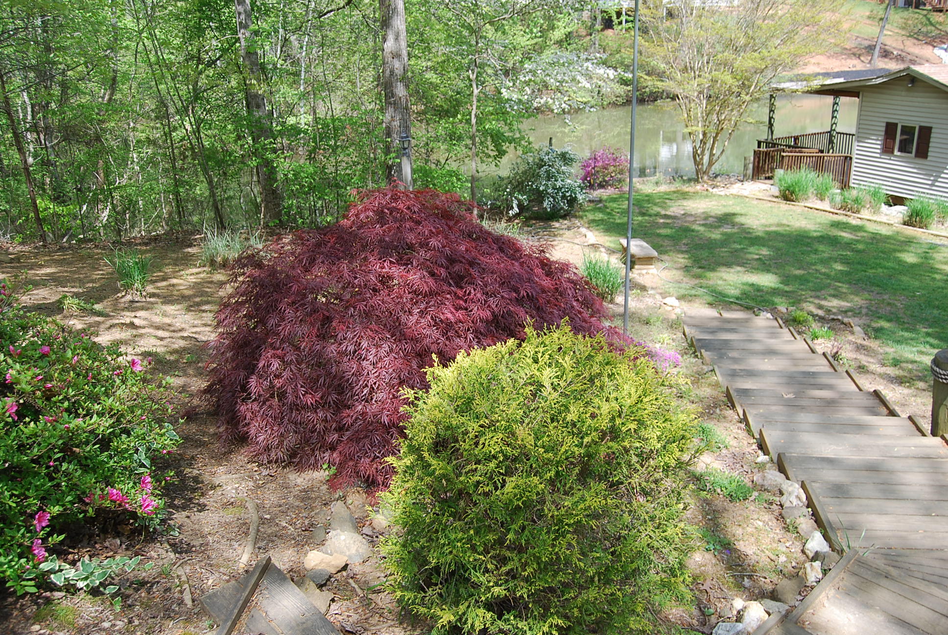 104 Woodbrook Road Moneta, VA 24121 - Photo 6 of 108 krupp outside 013