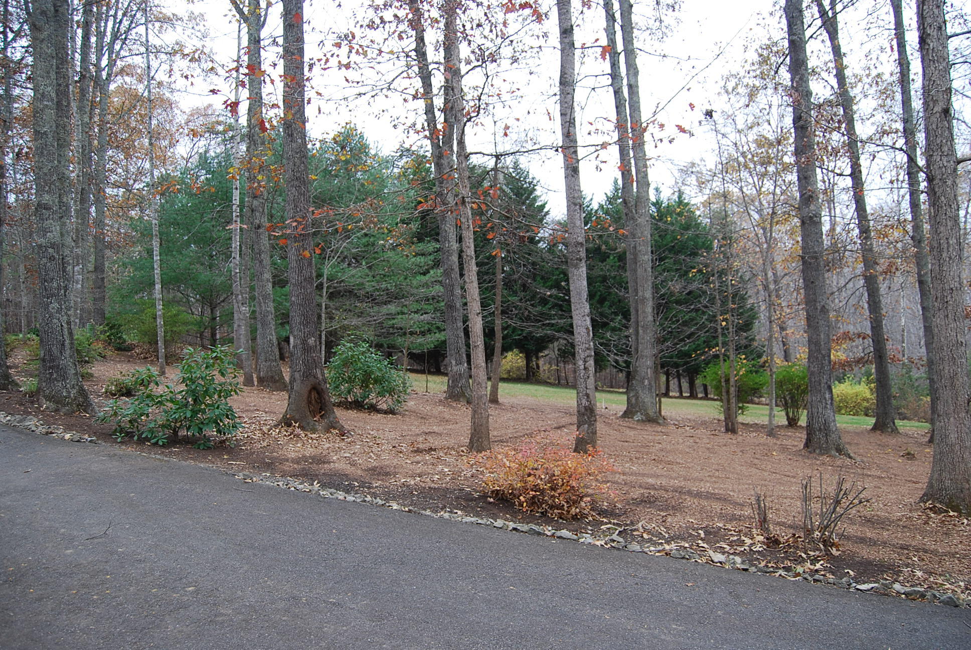 104 Woodbrook Road Moneta, VA 24121 - Photo 65 of 108 krupp 219