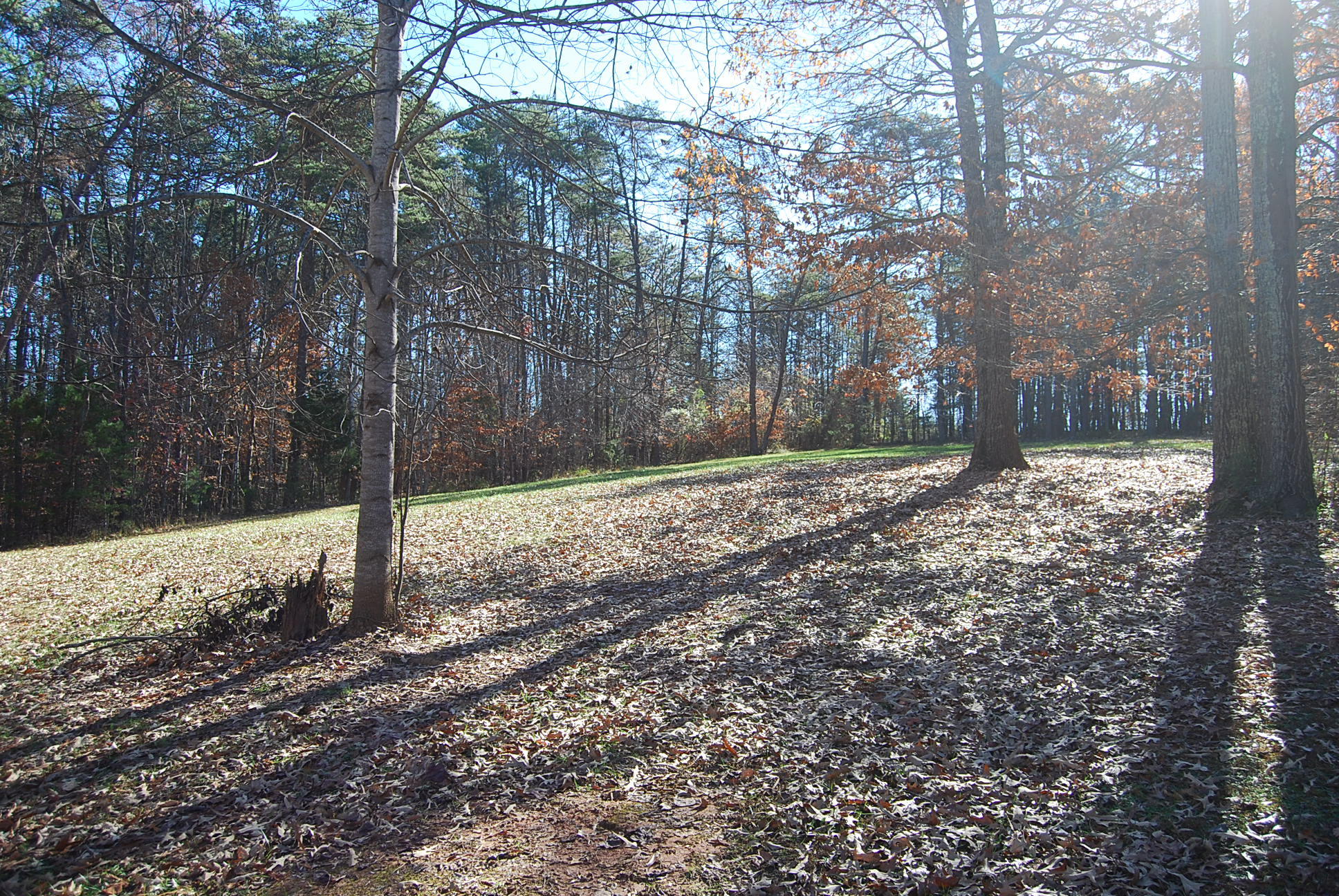 104 Woodbrook Road Moneta, VA 24121 - Photo 67 of 108 krupp2 004
