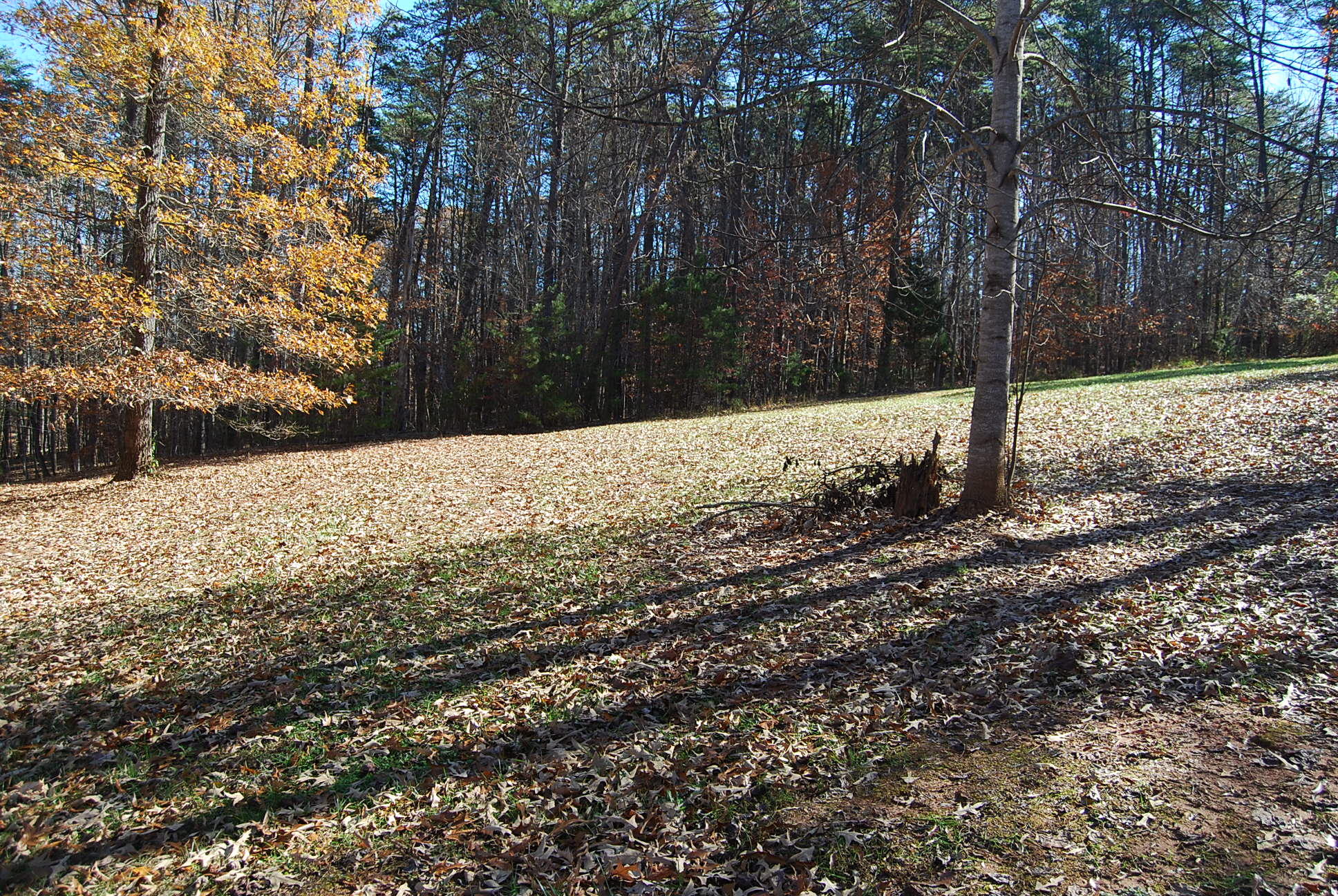 104 Woodbrook Road Moneta, VA 24121 - Photo 68 of 108 krupp2 005