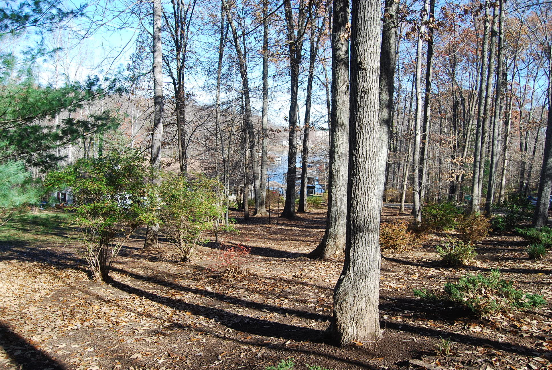 104 Woodbrook Road Moneta, VA 24121 - Photo 70 of 108 krupp2 007