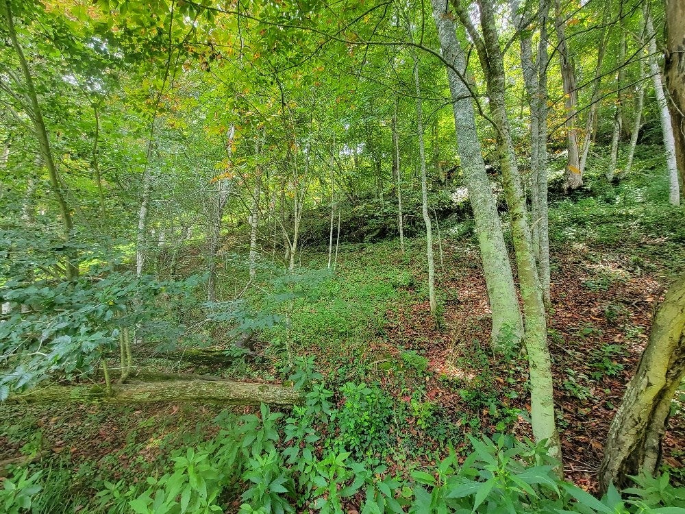 Tbd Turkey Ridge, Unit 35 36 84 Crumpler, NC 28617 - Photo 10 of 10 Gallery Image 10