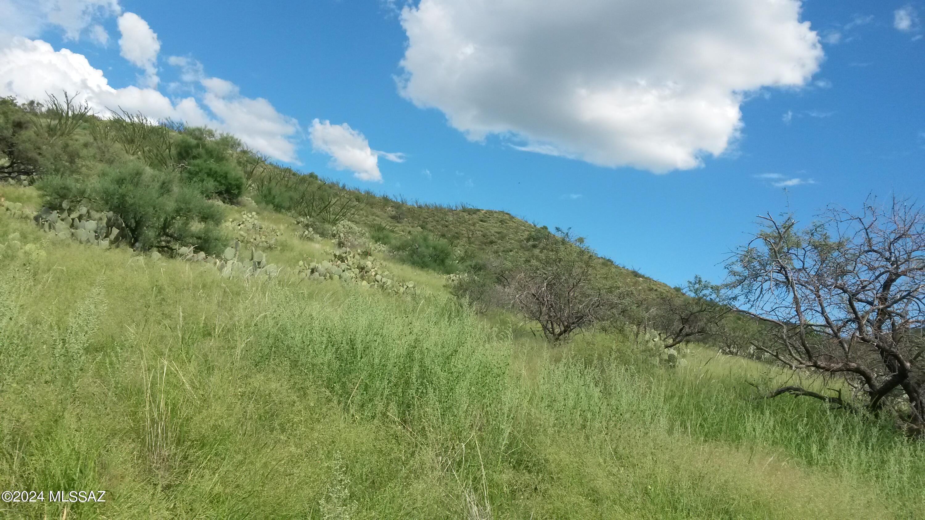 South Goodenough Trail Vail, AZ 85641 - Photo 4 of 13