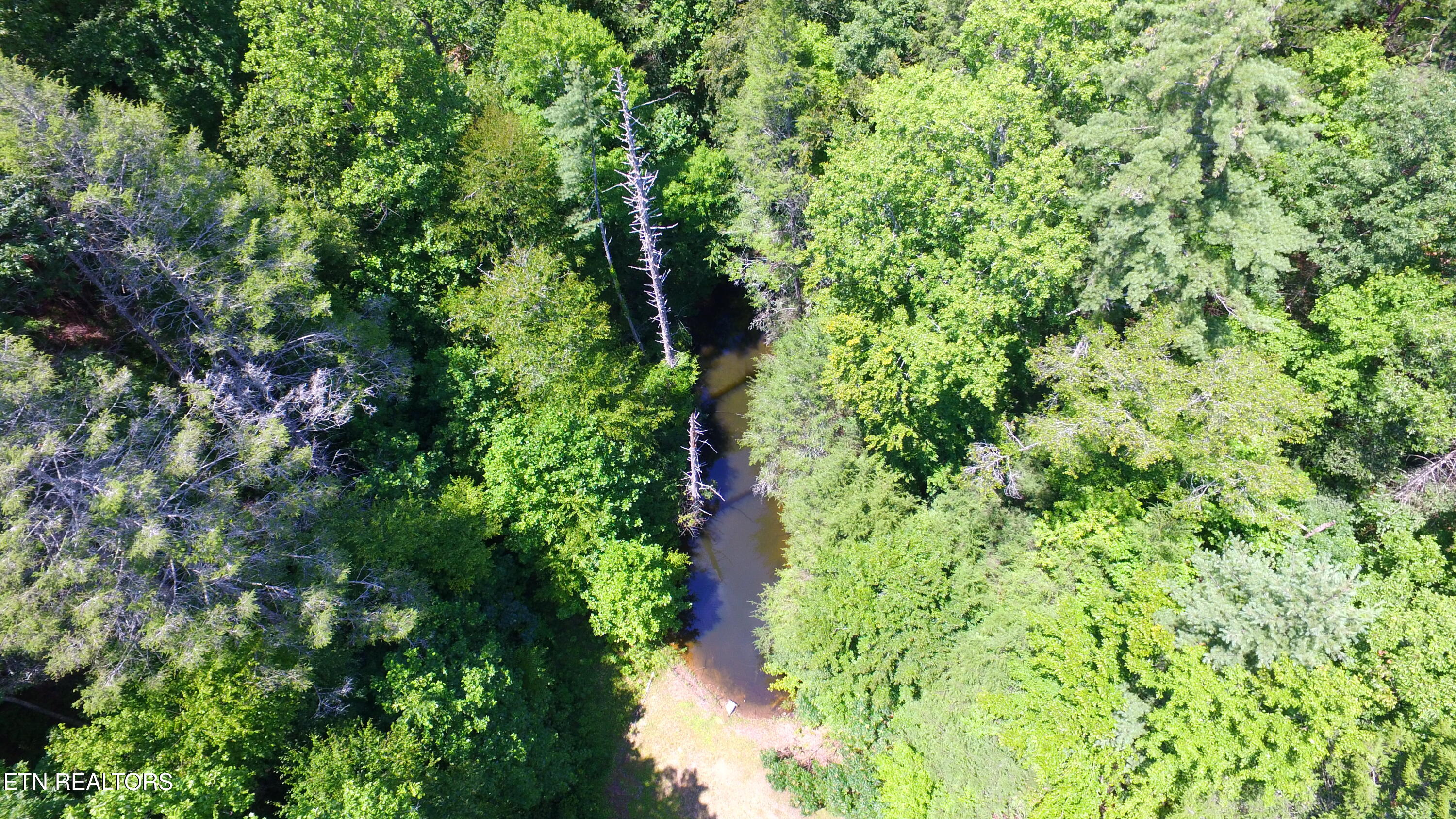 1465 Chestnut Valley Road Vonore, TN 37885 - Photo 7 of 8 DJI_0042