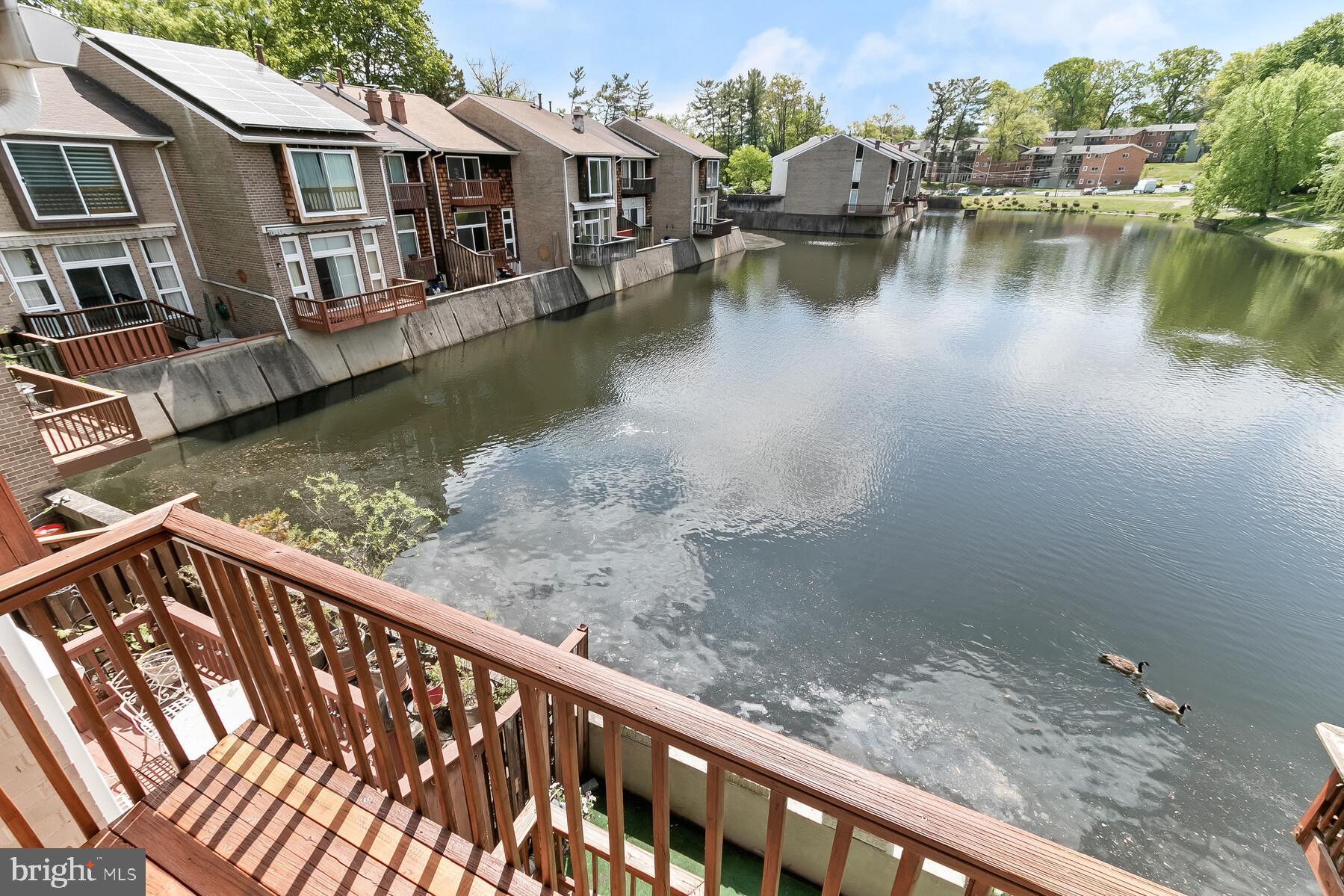 136 New Mark Esplanade Rockville, MD 20850 - Photo 50 of 66