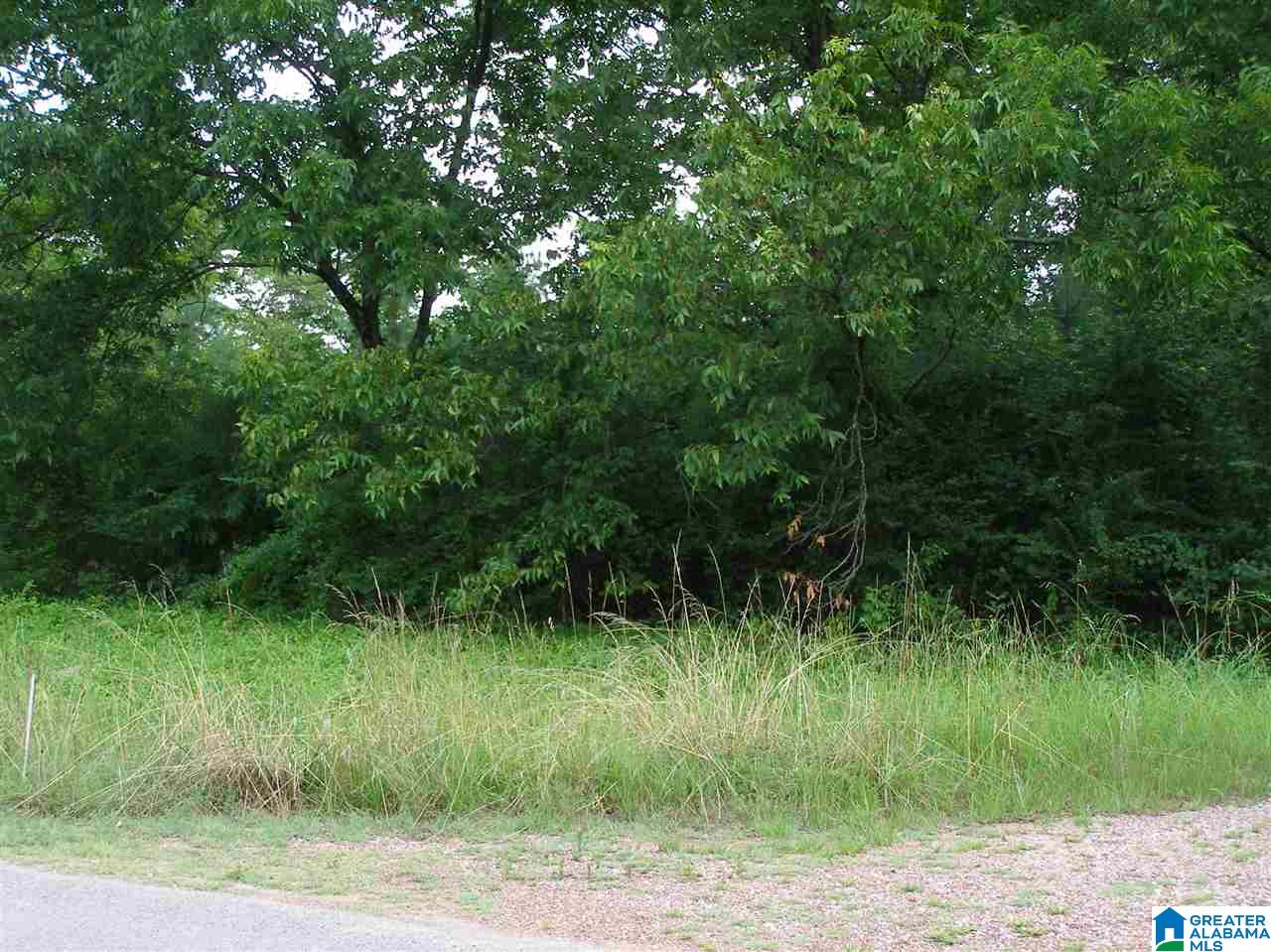9451 Tingle Cut Off Road, Unit 7 ACRES Dora, AL 35062 - Photo 4 of 27