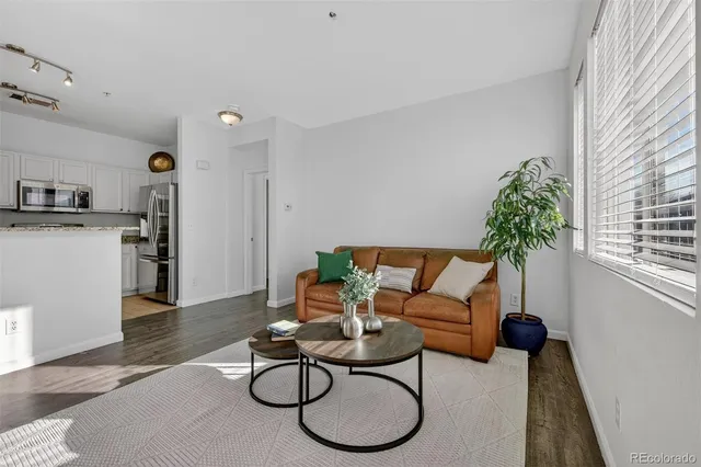 a living room with furniture potted plant and a window