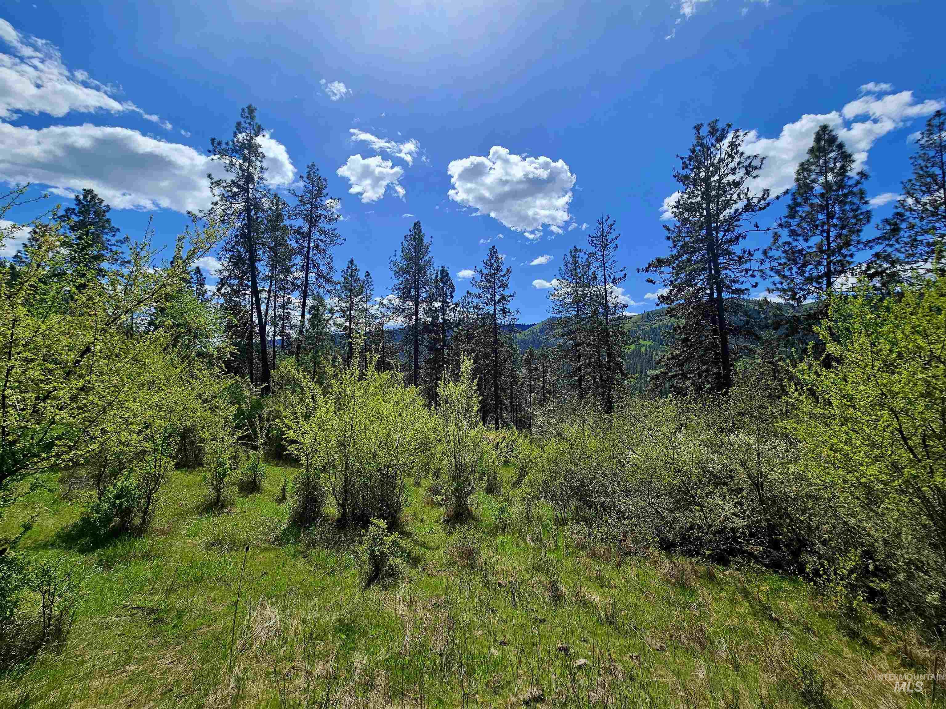 115 Weedmark Way Kamiah, ID 83536 - Photo 37 of 44