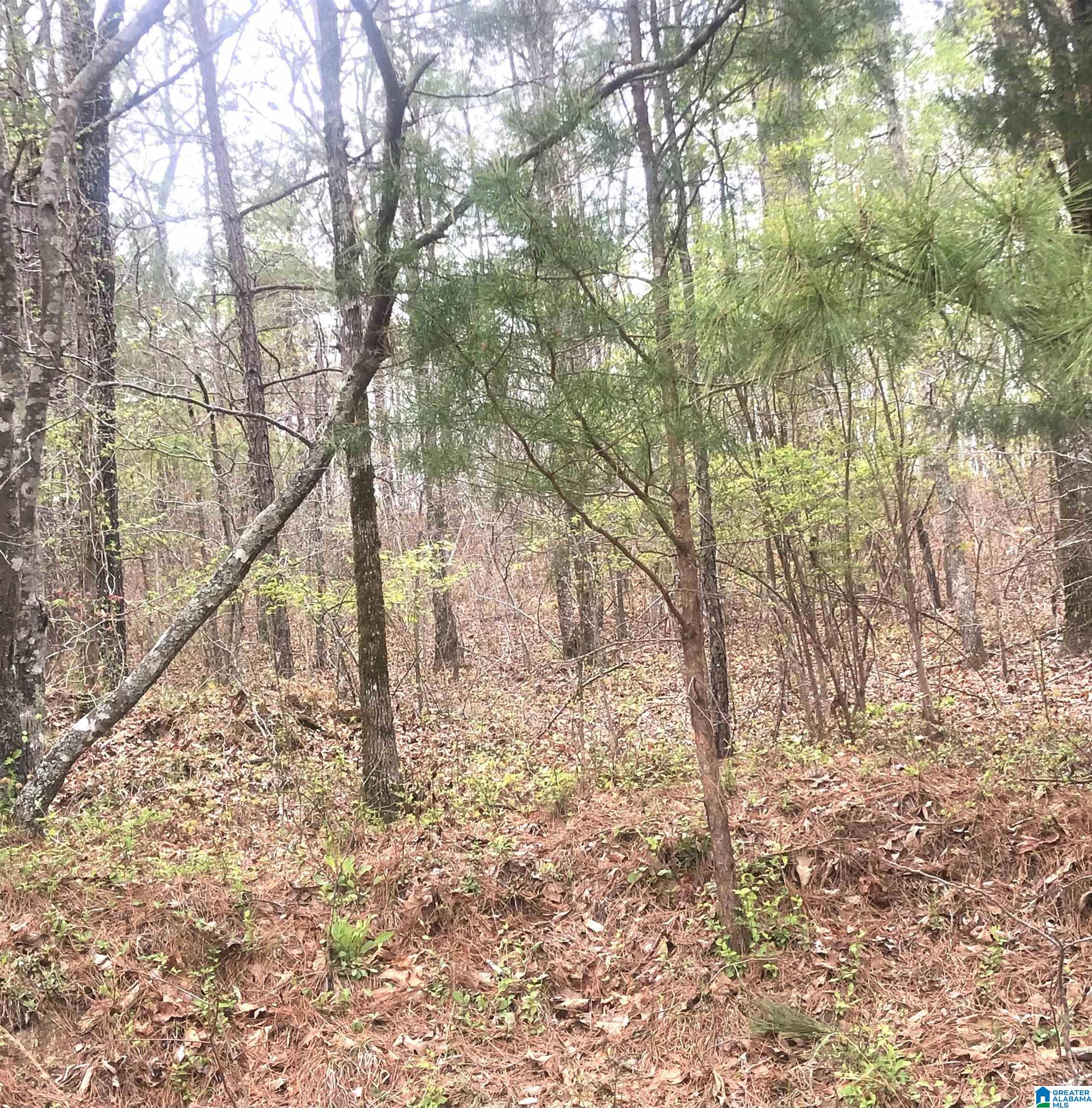 Blackjack Road, Unit 8 Trussville, AL 35173 - Photo 1 of 1