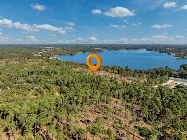 a view of a yard with plants