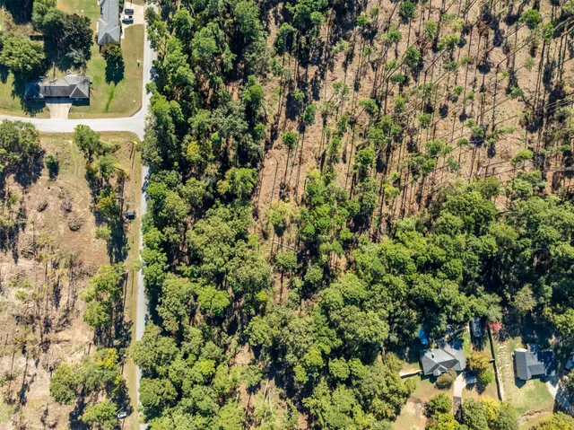 $80,000 | Lot 4 Pintail Drive, Flint, TX 75762