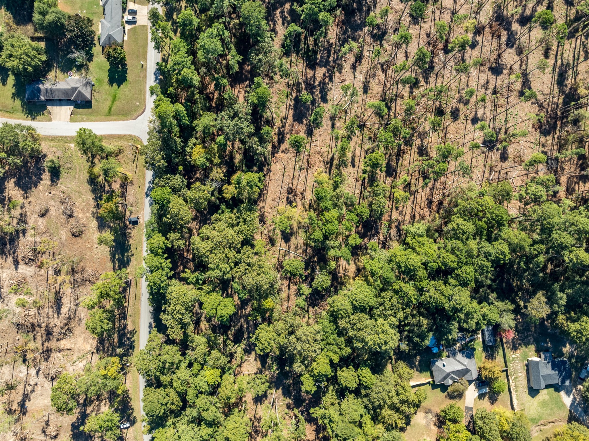 Lot 4 Pintail Drive Flint, TX 75762 - Photo 9 of 9 a view of a yard with plants
