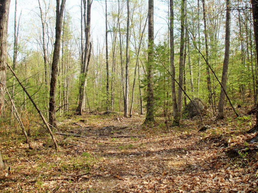 492 Old Turnpike Road Epsom, NH 03234 - Photo 12 of 12