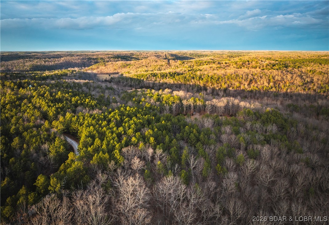 119.26-tbd Slaughter Road Licking, MO 65542 - Photo 11 of 71
