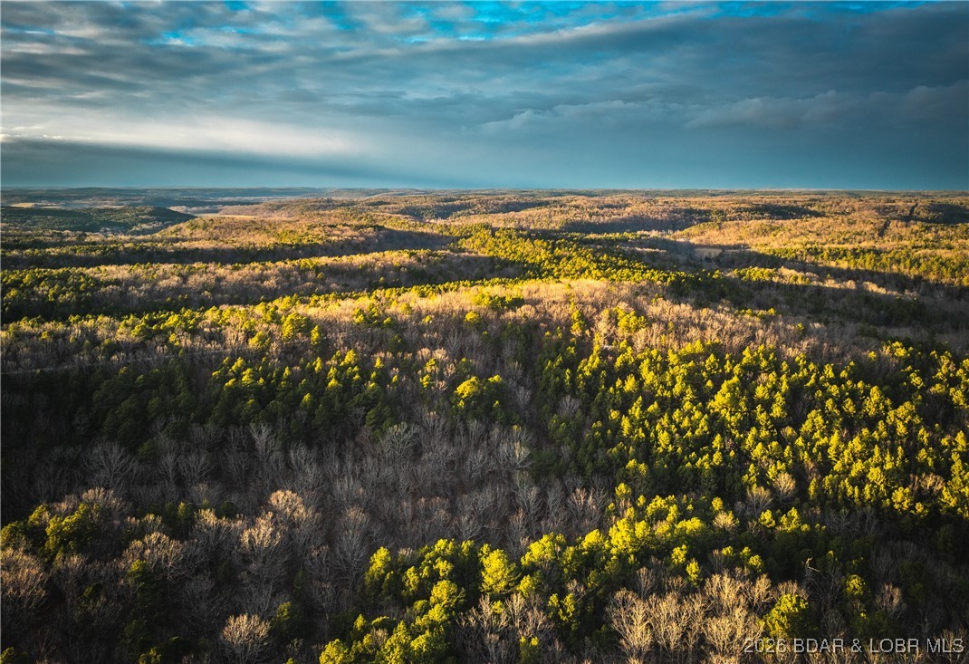 119.26-tbd Slaughter Road Licking, MO 65542 - Photo 13 of 71
