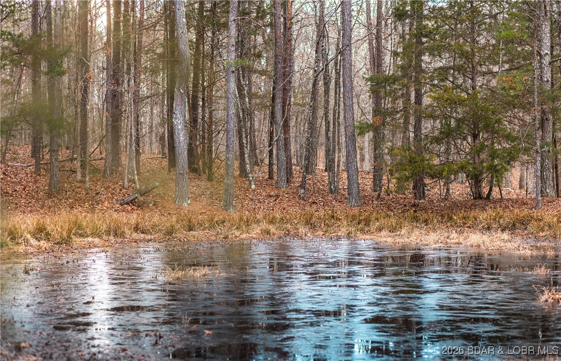 119.26-tbd Slaughter Road Licking, MO 65542 - Photo 18 of 71