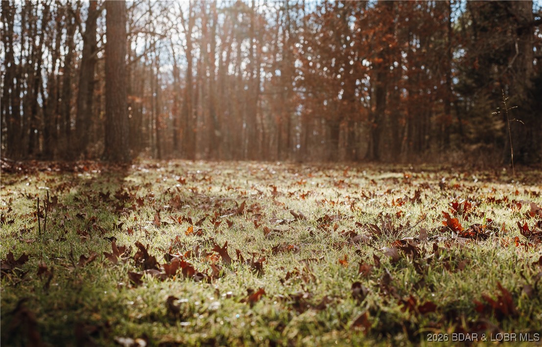 119.26-tbd Slaughter Road Licking, MO 65542 - Photo 22 of 71