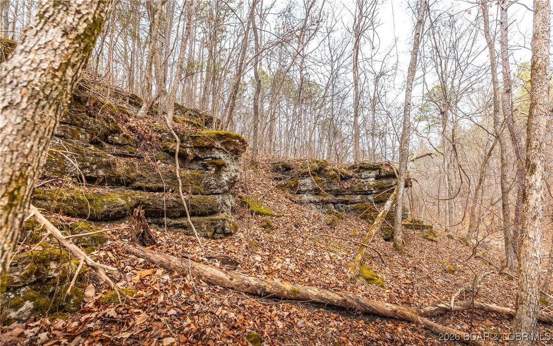 119.26-tbd Slaughter Road Licking, MO 65542 - Photo 29 of 71