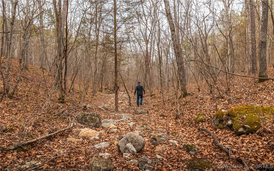 119.26-tbd Slaughter Road Licking, MO 65542 - Photo 33 of 71