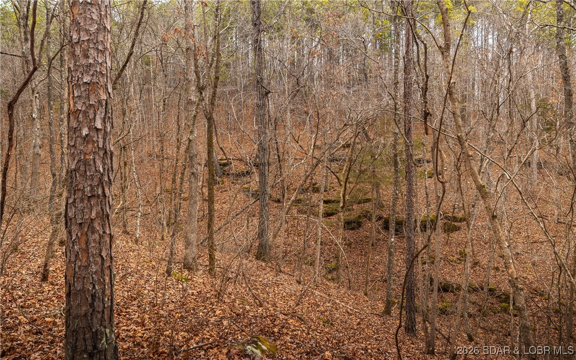 119.26-tbd Slaughter Road Licking, MO 65542 - Photo 36 of 71