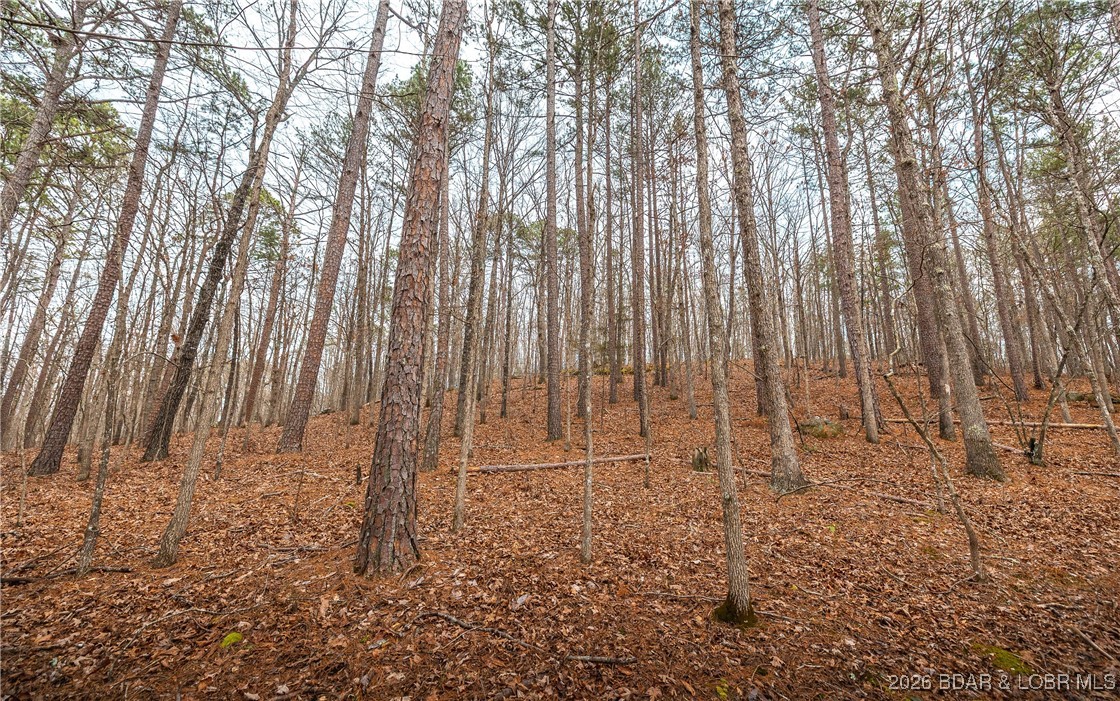 119.26-tbd Slaughter Road Licking, MO 65542 - Photo 37 of 71