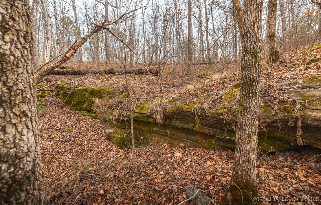 119.26-tbd Slaughter Road Licking, MO 65542 - Photo 40 of 71