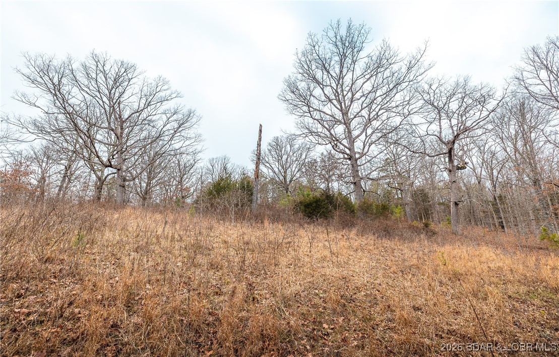 119.26-tbd Slaughter Road Licking, MO 65542 - Photo 41 of 71