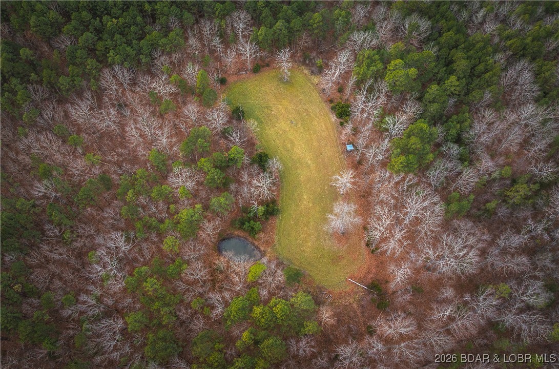 119.26-tbd Slaughter Road Licking, MO 65542 - Photo 44 of 71